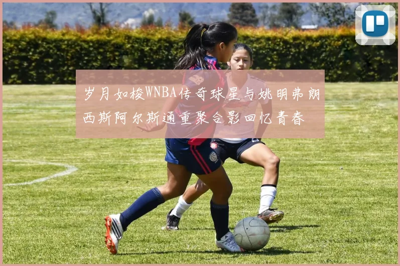 岁月如梭WNBA传奇球星与姚明弗朗西斯阿尔斯通重聚合影回忆青春