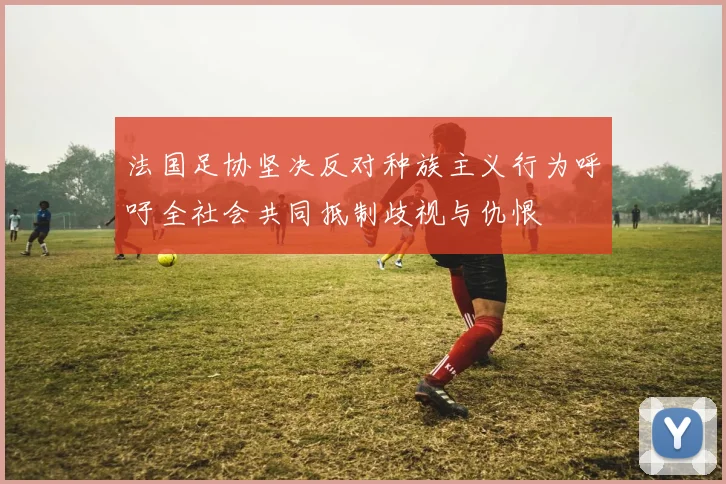 法国足协坚决反对种族主义行为呼吁全社会共同抵制歧视与仇恨